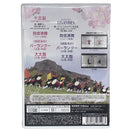 【DVD】琉球國祭り太鼓エイサーページェント指導DVD17