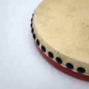 沖縄産パーランクー 21cm